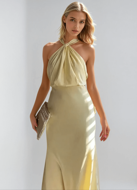 Shehzadi | Robe De Fête Elégante Pour Femmes | Maxi